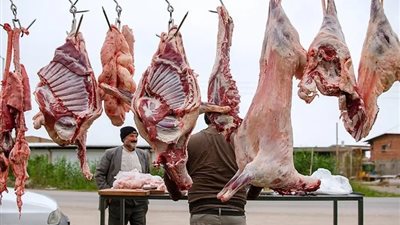 تراجع أسعار اللحوم اليوم الخميس 29 أغسطس، البتلو بـ350 جنيها
