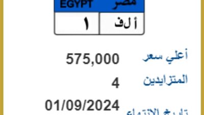 مزاد على لوحة سيارة تحمل أرقام «أ ل ف - 1» سعرها 575 ألف جنيه