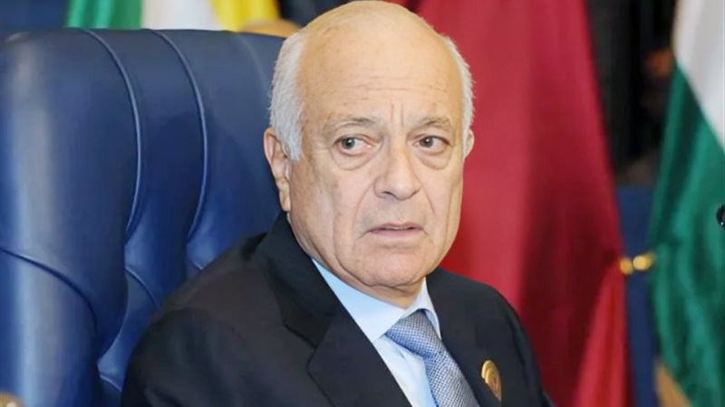 نبيل العربي