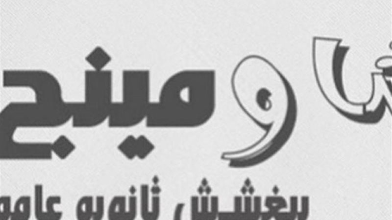 صفحات الغش الإلكتروني