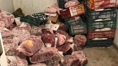 ضبط أكثر من 178 ألف كيلو أسماك ولحوم فاسدة خلال شهر واحد