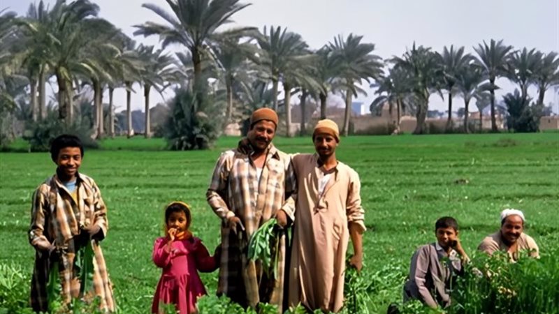 اختبار اللهجة الفلاحي