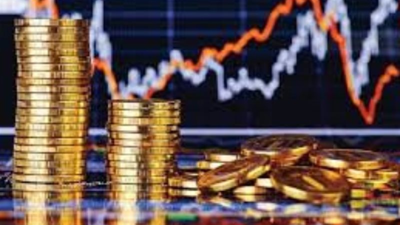 الاستثمار فى البورصة المصرية