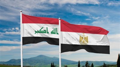 الخارجية العراقية: متضامنون مع مصر في مواجهة تزييف حكومة الاحتلال للحقائق