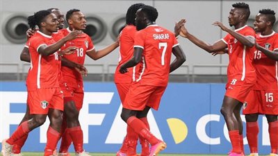 قناة مجانية تنقل مباراة السودان والنيجر في تصفيات كأس الأمم الإفريقية 2025