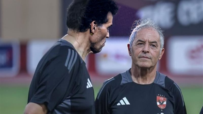 ضياء النجار مترجم مارسيل كولر