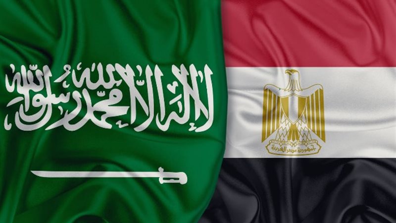 علما مصر والسعودية