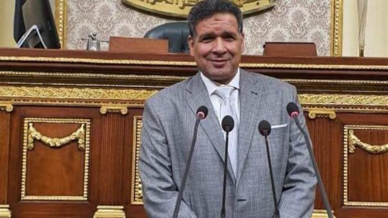 النائب عصام العمدة