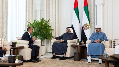وزير الخارجية يبحث مع رئيس الإمارات محمد بن زايد سبل وقف إطلاق النار في غزة