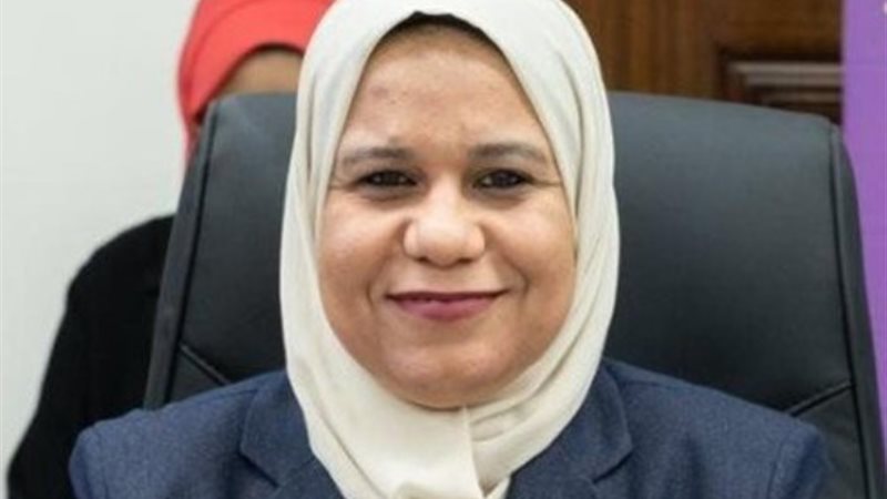 النائبة المهندسة 