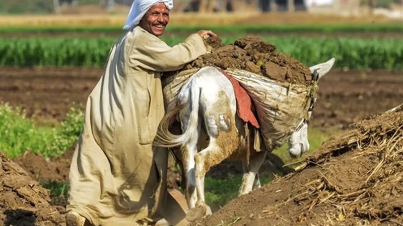 عيد الفلاح