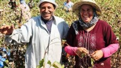 في عيده الـ72، الدولة المصرية تعد خطة لتحسين معيشة الفلاح المصري