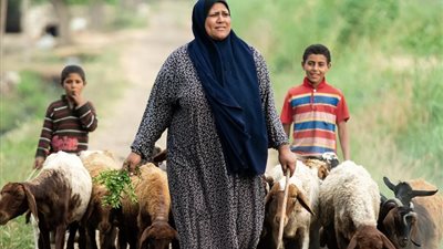 تمكين المرأة الريفية، جهود التحالف الوطني للعمل الأهلي التنموي