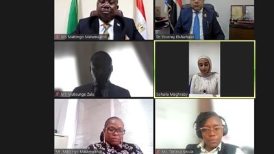ويبينار السياحة في زامبيا 2024، فرص جديدة للتعاون بين القاهرة ولوساكا