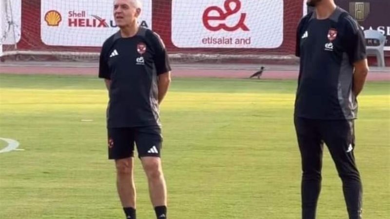 مترجم كولر الجديد