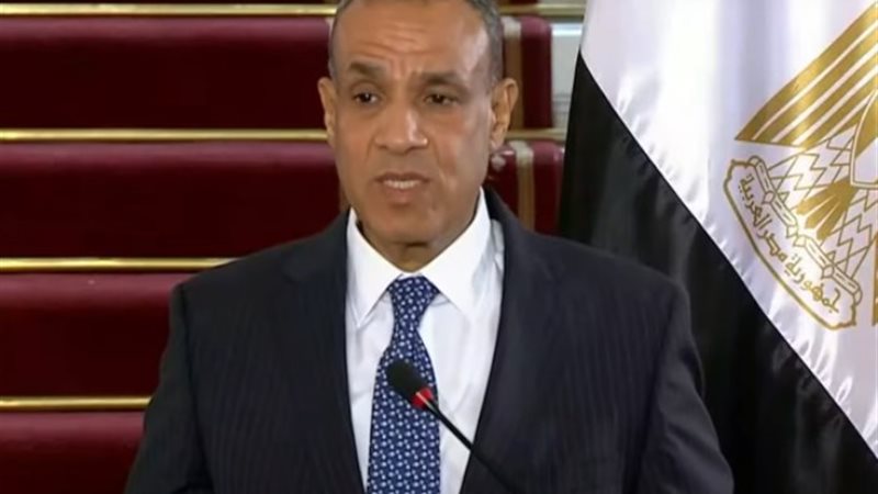 وزير الخارجية بدر عبد العاطي