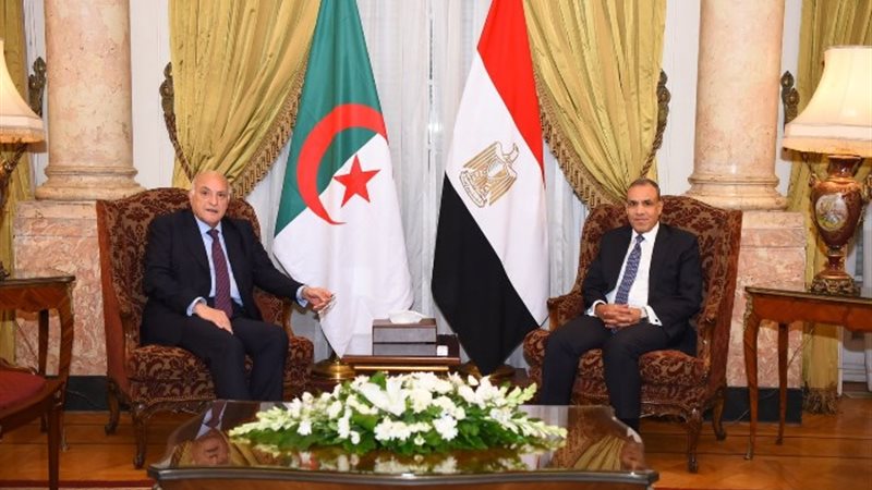 وزير الخارجية ونظيره الجزائري