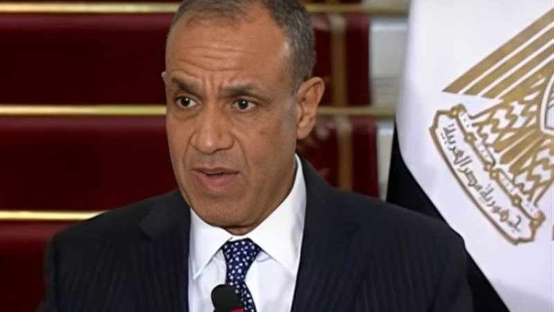وزير الخارجية السفير بدر عبد العاطي