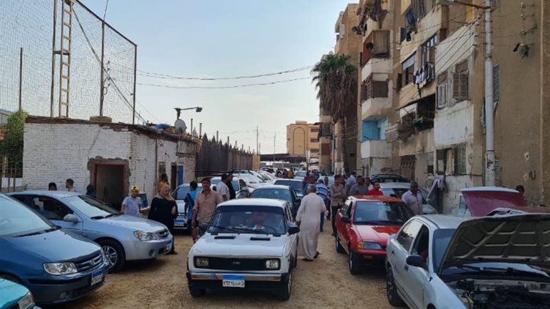 سوق سيارات المنصورة