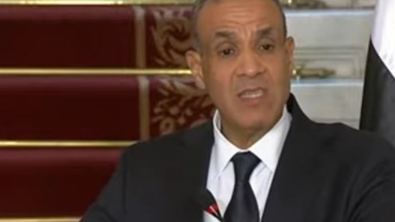 السفير بدر عبد العاطي
