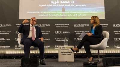 رئيس الرقابة المالية: أطر الرقمنة والكربون اكتملت بالنظام غير المصرفي