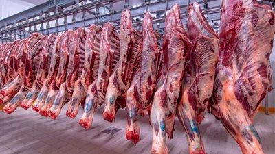 الضأن بـ 450 جنيهاً، تباين أسعار اللحوم اليوم الخميس 12 سبتمبر 2024
