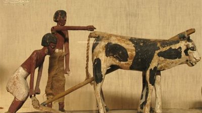 «وجدت بمقابر الموظفين»، المتحف المصري يعرض قطعًا نادرة للفلاح القديم