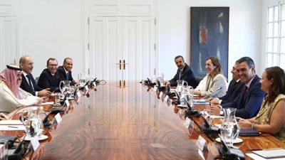وزير الخارجية من مدريد: يجب وقف إطلاق النار في غزة وتنفيذ حل الدولتين