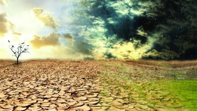 10 معلومات عن مكافحة التصحر بالأراضي الزراعية (تفاصيل)