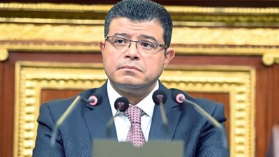 النائب محمد سليمان أمينًا لحزب مستقبل وطن بمحافظة القاهرة