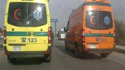 إصابة 21 عاملا زراعيا في انقلاب سيارة نقل بالبحيرة