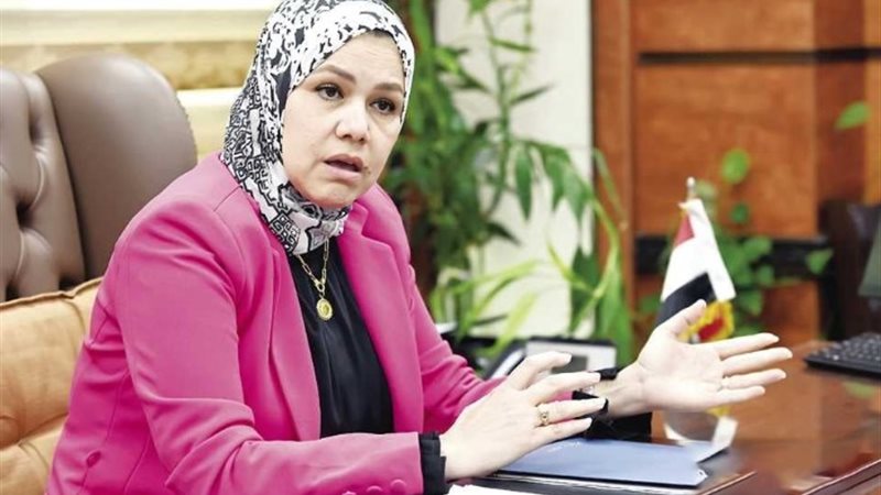 رشا عبد العال رئيس مصلحة الضرائب