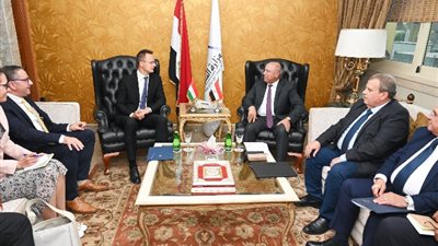 بشراكة مجرية، مصر تتحول إلى مركز لصناعة عربات السكك الحديدية