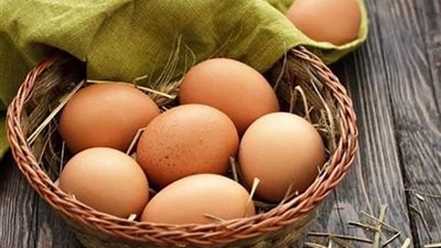 بـ150 جنيهًا، ضخ 4 آلاف طبق بيض بمنافذ القابضة للصناعات الغذائية اليوم