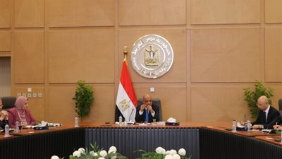 وزير الكهرباء يبحث كيفية الاستفادة من الخبرات الصينية لمواجهة سرقات التيار