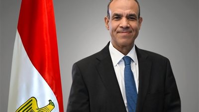 وزير الخارجية: سيكون صوت مصر قويا في الجمعية العامة للأمم المتحدة