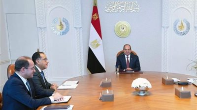 الرئيس السيسي يناقش خطط تطوير منظومة الكهرباء ومشروع محطة الضبعة النووية