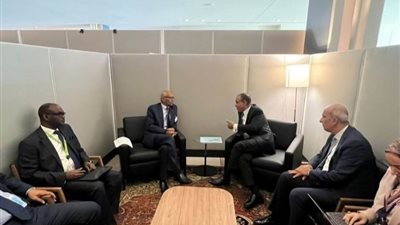 وزير الخارجية يبحث مع نظيره السوداني ملف الأمن المائي