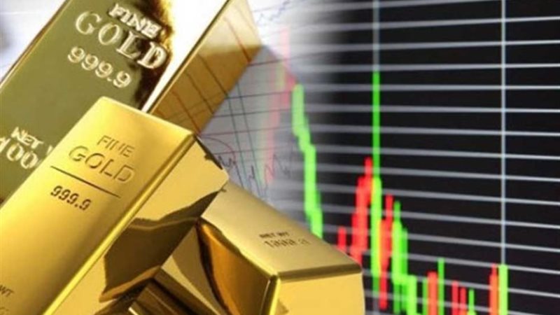 الاستثمار المصرية