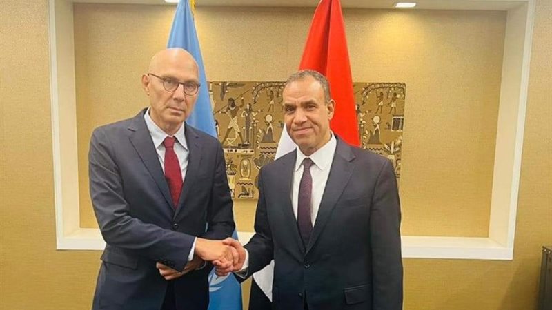 وزير الخارجية الدكتور بدر عبد العاطي