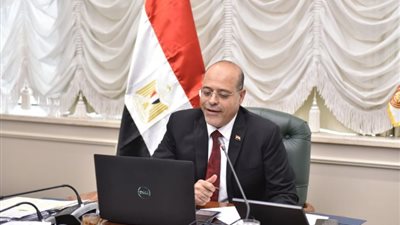 وزير العمل: الرئيس السيسي وجه بمساندة كل عمل عربي مشترك للتنمية