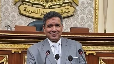 النائب عصام العمدة مشيدًا ببرنامج «كلام في السياسة»: مناخ ديمقراطي مثمر