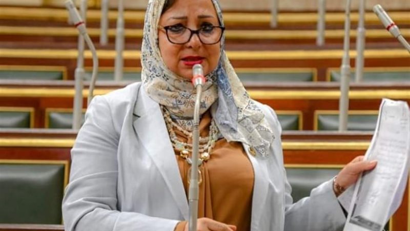 النائبة نسرين صلاح عمر، عضو مجلس النواب وأمين لجنة الصحة وا