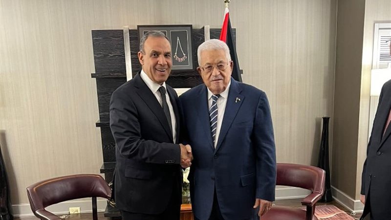 وزير الخارجية والهجرة وشؤون المصريين في الخارج، الدكتور بدر