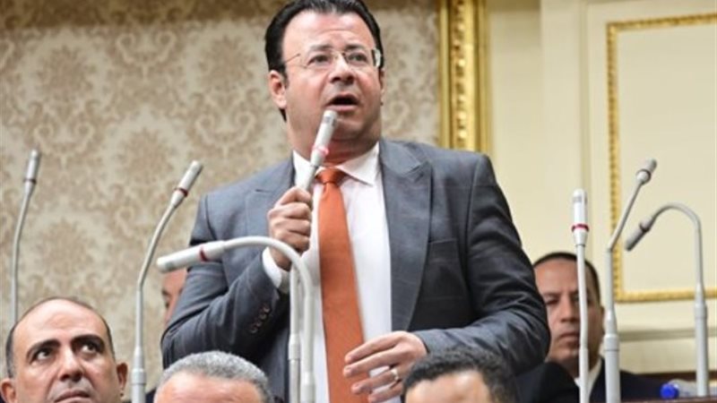 الدكتور محمود البرعي، عضو مجلس النواب
