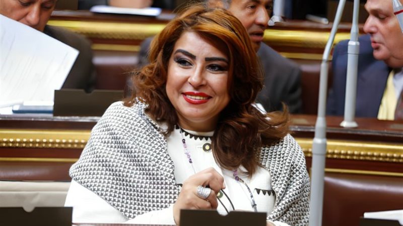 النائبة غادة عجمي، عضو مجلس النواب