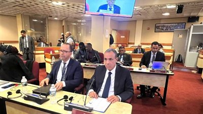 وزير الخارجية والهجرة يشارك في الاجتماع الوزاري لمجلس السلم والأمن الأفريقي
