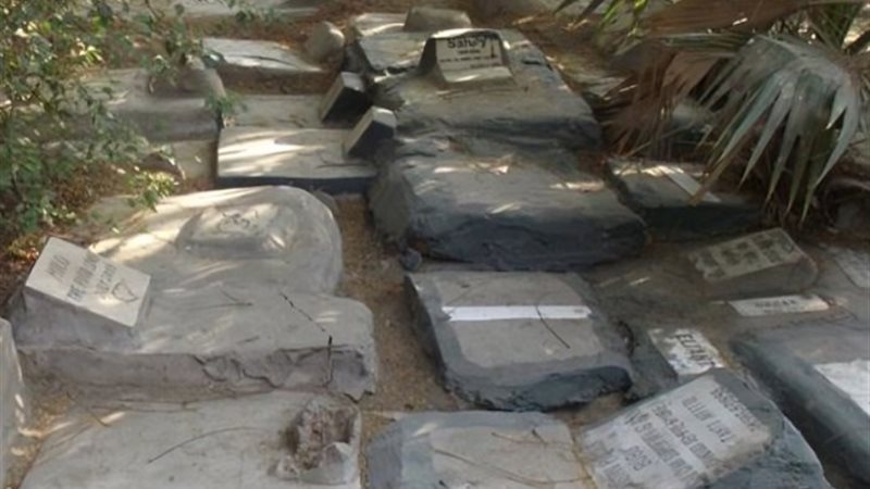 مقبرة الكلاب والقطط بنادي الجزيرة