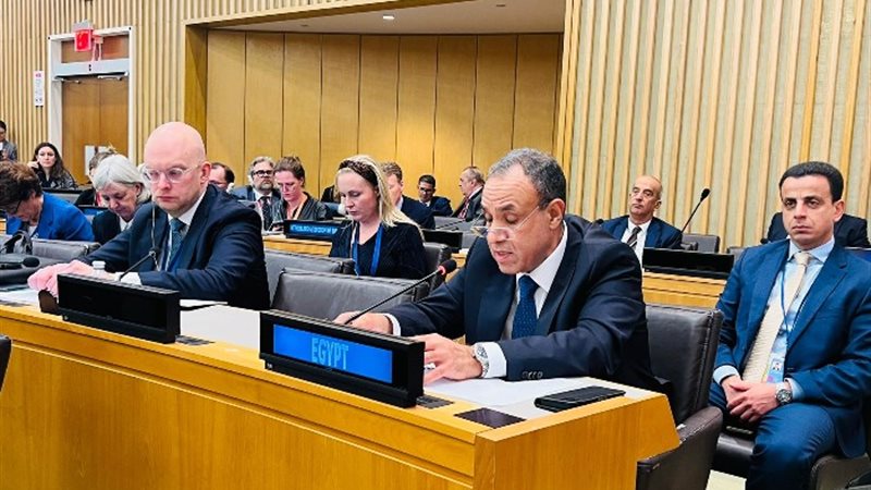 وزير الخارجية والهجرة وشؤون المصريين في الخارج، الدكتور بدر