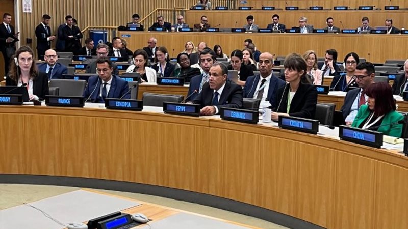 وزير الخارجية الدكتور بدر عبد العاطي
